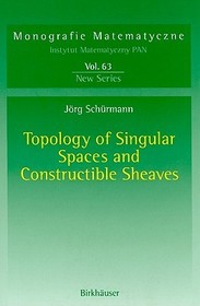 Topology of Singular Spaces and Constructible Sheaves Topology of Singular Spaces and Constructible Sheaves