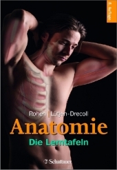 Anatomie - Die Lerntafeln: Die Lerntafeln