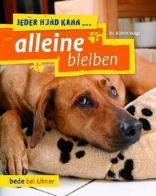 Jeder Hund kann alleine bleiben: Keine Angst vor dem Alleinsein
