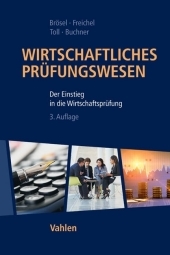 Wirtschaftliches Prüfungswesen: Der Einstieg in die Wirtschaftsprüfung