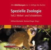 Spezielle Zoologie. Tl.2, CD-ROM: Wirbel- oder Schädeltiere. Alle Abbildungen des Buches Spezielle Zoologie. Tl.2, CD-ROM: Wirbel- oder Schädeltiere. Alle Abbildungen des Buches