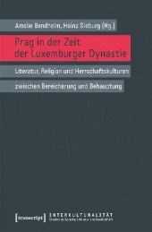 Prag in der Zeit der Luxemburger Dynastie: Literatur, Religion und Herrschaftskulturen zwischen Bereicherung und Behauptung
