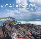 Galapagos Kalender 2024. Atemberaubende Fotos der Galapagosinseln und ihrer Wildtiere in einem Wandkalender 2024 Großformat. 48 x 46 cm: Wildes Inselparadis Galapagos Kalender 2024. Atemberaubende Fotos der Galapagosinseln und ihrer Wildtiere in einem Wandkalender 2024 Großformat. 48 x 46 cm: Wildes Inselparadis