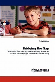 Bridging the Gap: The Transfer from Primary to Post-Primary School for Students with Asperger Syndrome - A Case Study