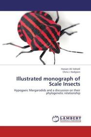 Illustrated monograph of Scale Insects: Hypogaeic Margarodids and a discussion on their phylogenetic relationship