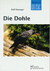 Die Dohle: Corvus monedula