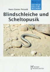 Blindschleiche und Scheltopusik: Die Familie Anguidae
