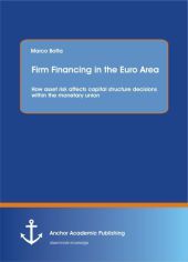 Firm Financing in the Euro Area: How asset risk affects capital structure decisions within the monetary union