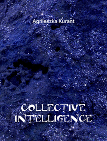 Agnieszka Kurant: Collective Intelligence