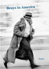 Joseph Beuys: Beuys in America: Beuys in America
