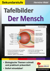 Lernmodul 1: Der Mensch / Tafelbilder: Mit verschiedenen Bausteinen effektiv und nachhaltig unterrichten