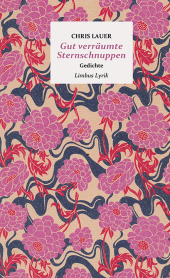 Gut verräumte Sternschnuppen: Gedichte