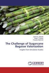 The Challenge of Sugarcane Bagasse Valorization: Insights from Simulation Studies