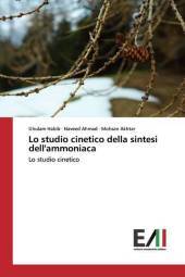 Lo studio cinetico della sintesi dell'ammoniaca: Lo studio cinetico