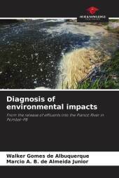 Diagnosis of environmental impacts: From the release of effluents into the Piancó River in Pombal-PB