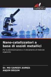 Nano-catalizzatori a base di ossidi metallici: Per la disintossicazione e il rilevamento di molecole organiche