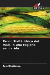 Produttivit? idrica del mais in una regione semiarida