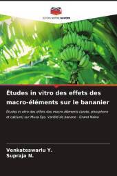 Études in vitro des effets des macro-éléments sur le bananier: Études in vitro des effets des macro-éléments (azote, phosphore et calcium) sur Musa Sps. Variété de banane - Grand Naina