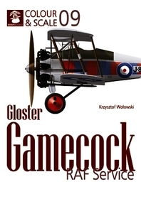 Colour & Scale Gloster Grebe
