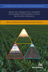 Reducing Inequalities Towards Sustainable Development Goals: Multilevel Approach