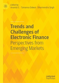 Trends and Challenges of Electronic Finance: Perspectives from Emerging Markets