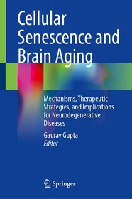 Cellular Senescence and Brain Aging: Mechanisms, Therapeutic Strategies, and Implications for Neurodegenerative Diseases